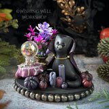 Cat Apothecary B
