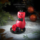 Handsome Devil Cat C