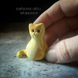 Scrappy Cat D